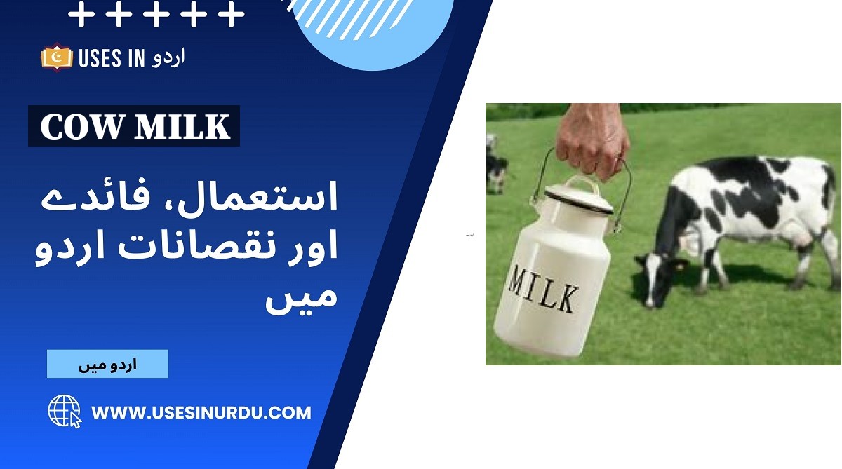 Cow Milk