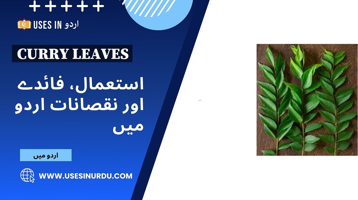 Curry Leaves