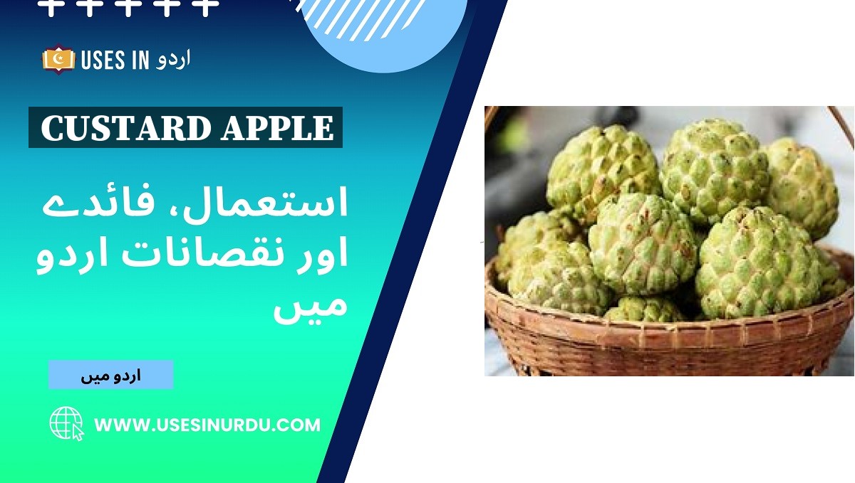 Custard Apple