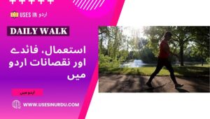 Daily Walk