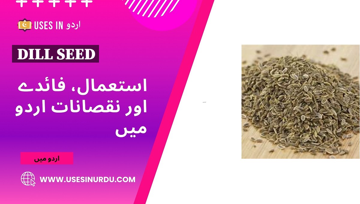 Dill Seed