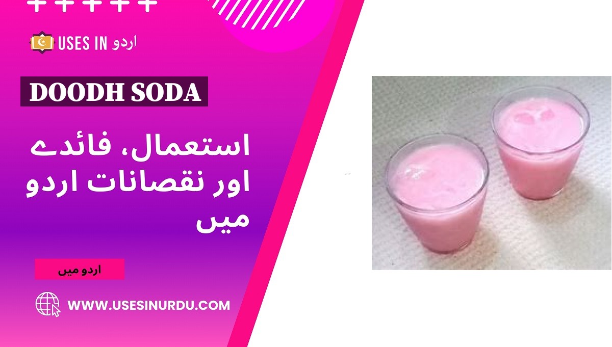 Doodh Soda