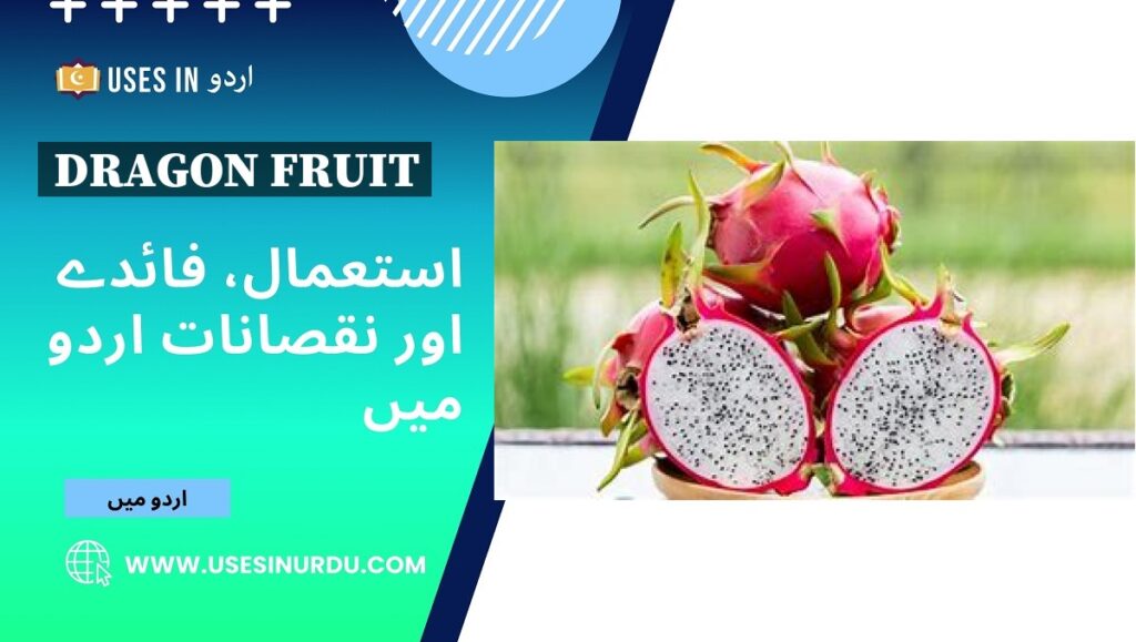 Dragon Fruit