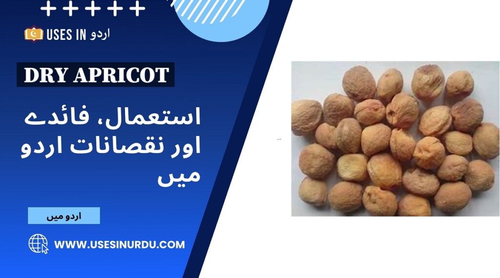 Dry Apricot