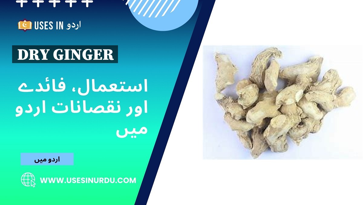 Dry Ginger