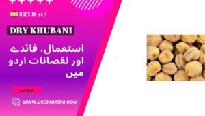 Dry Khubani
