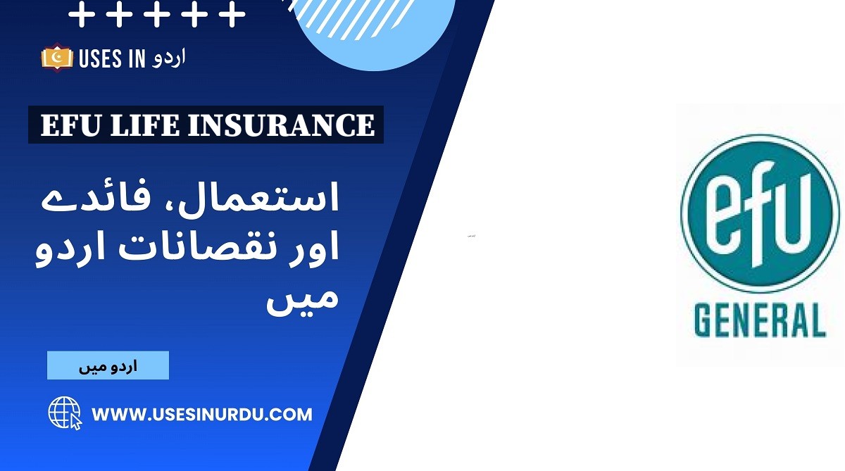 EFU Life Insurance