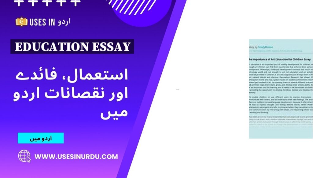 Education Essay