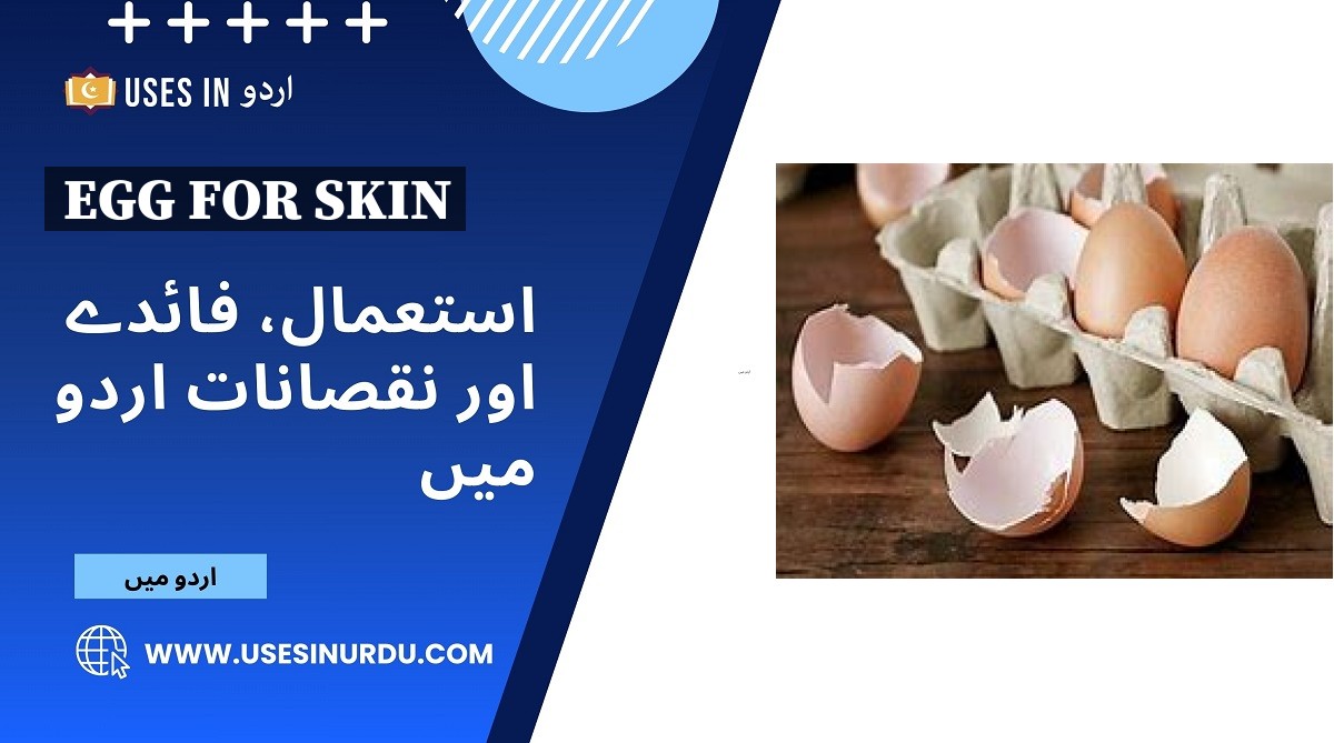 Egg for Skin