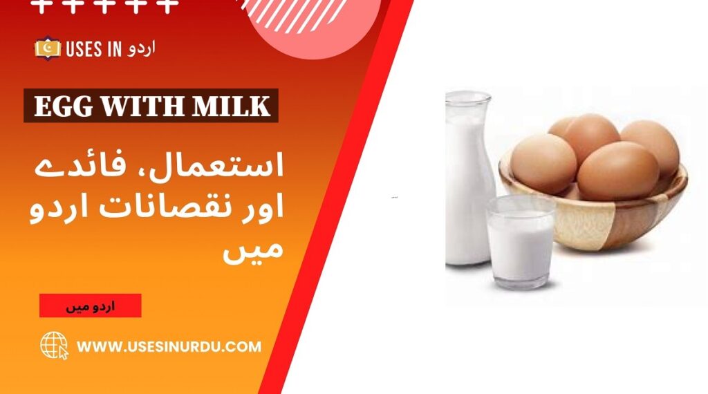 Egg with Milk