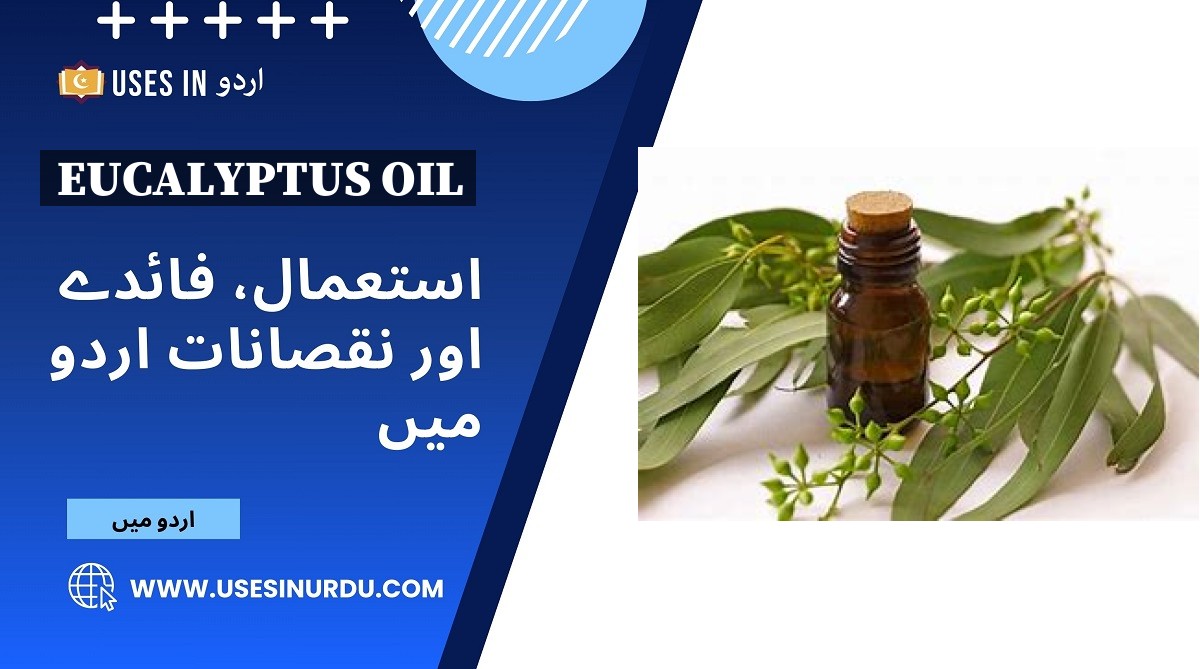 Eucalyptus Oil