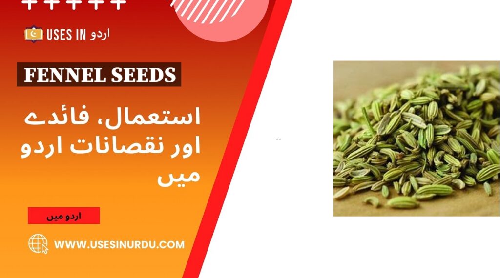 Fennel Seeds