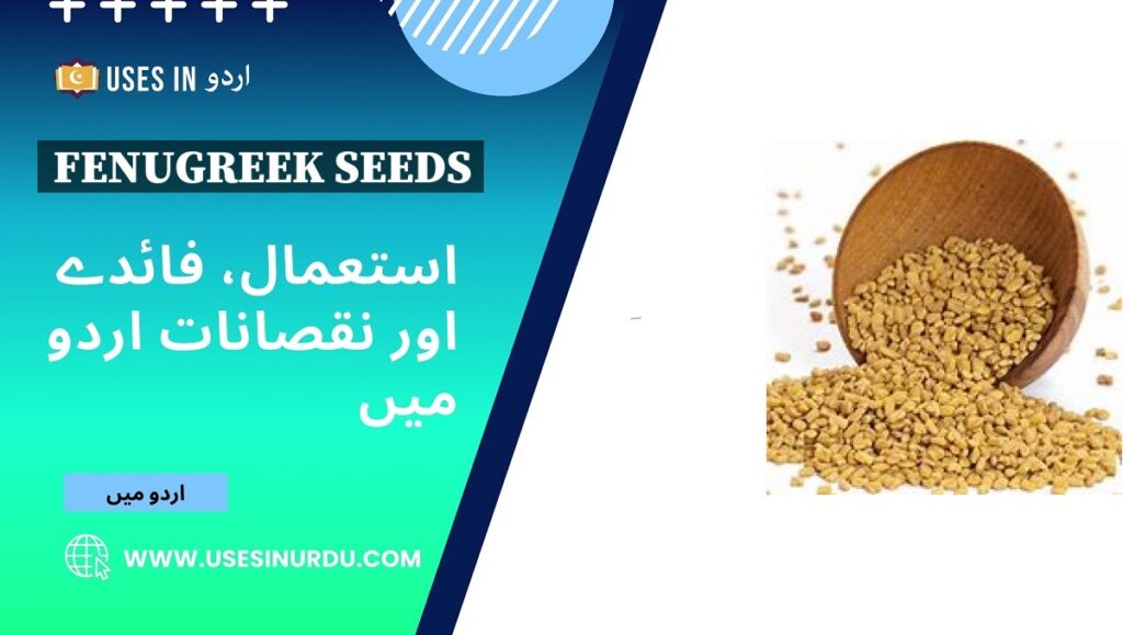 Fenugreek Seeds