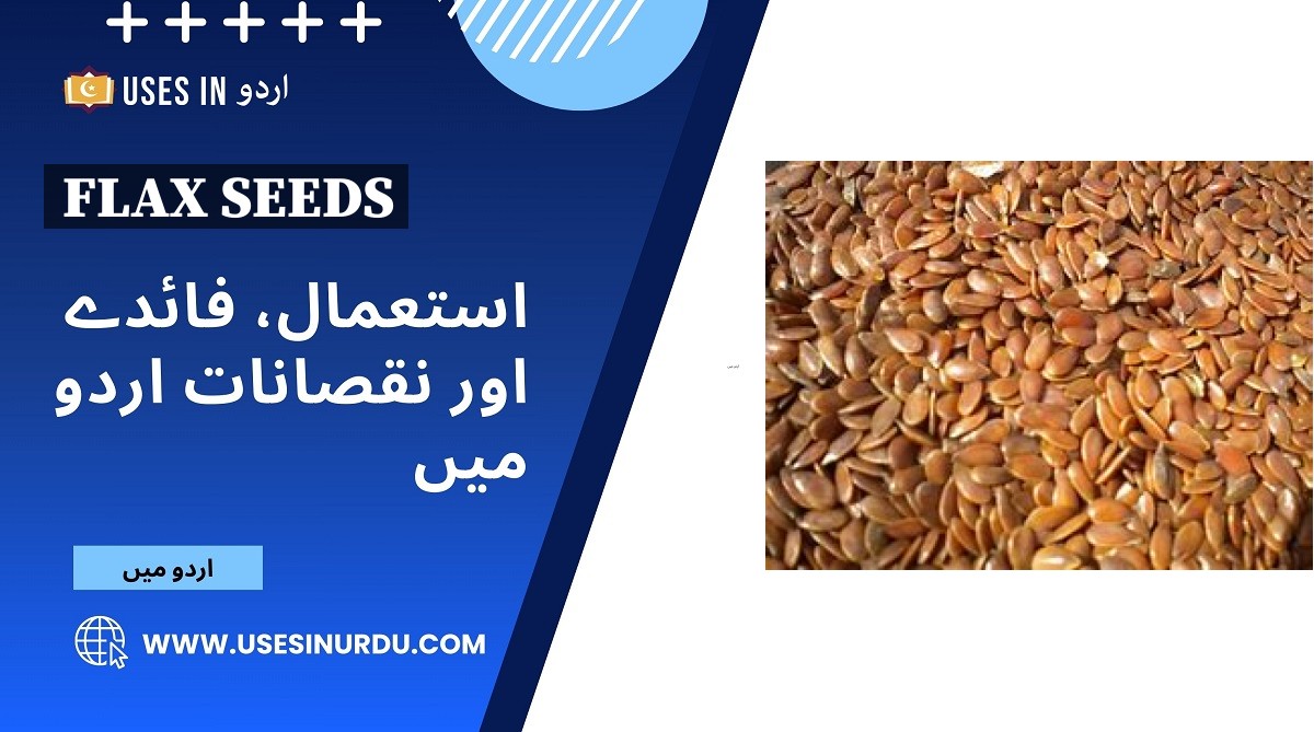 Flax Seeds