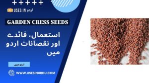Garden Cress Seeds