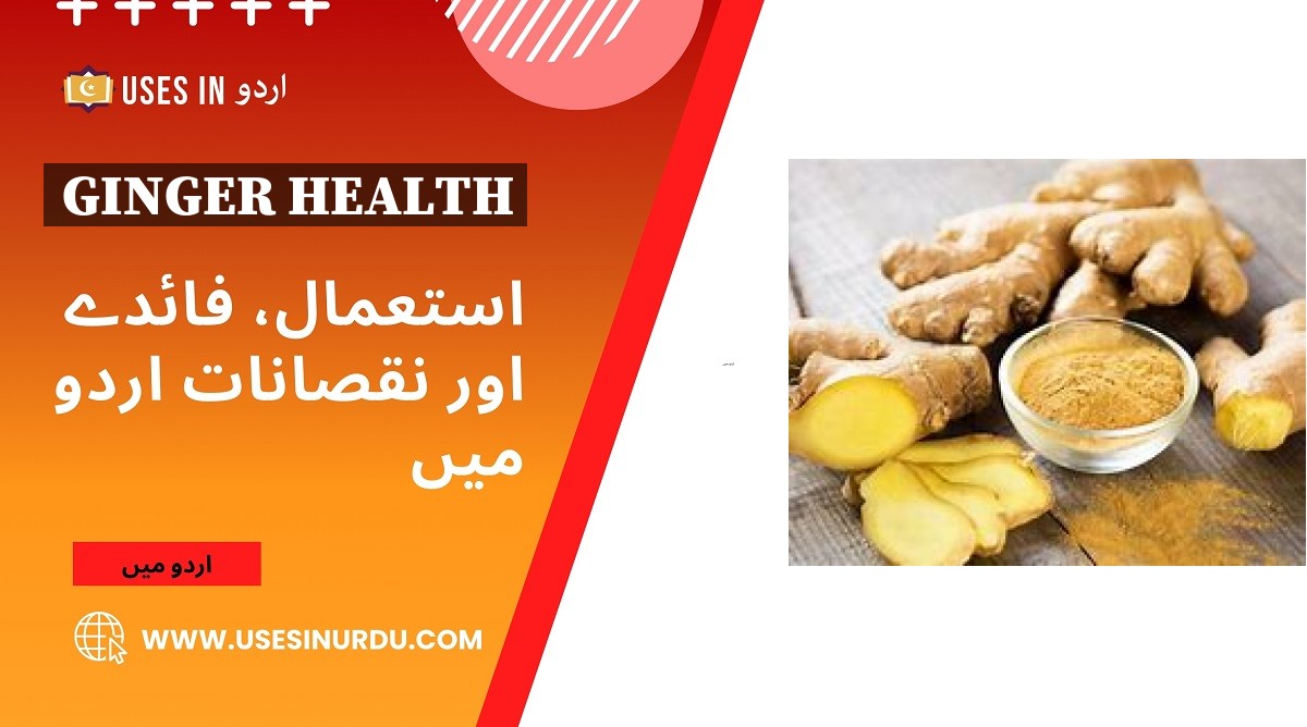 Ginger Health