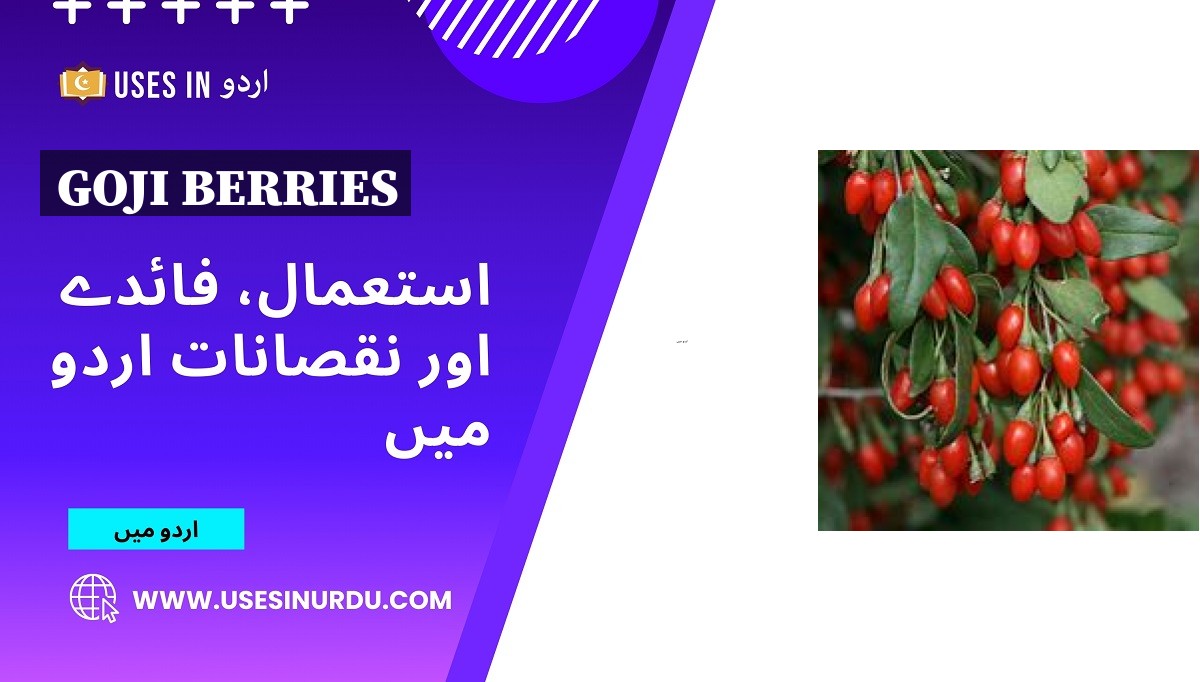 Goji Berries