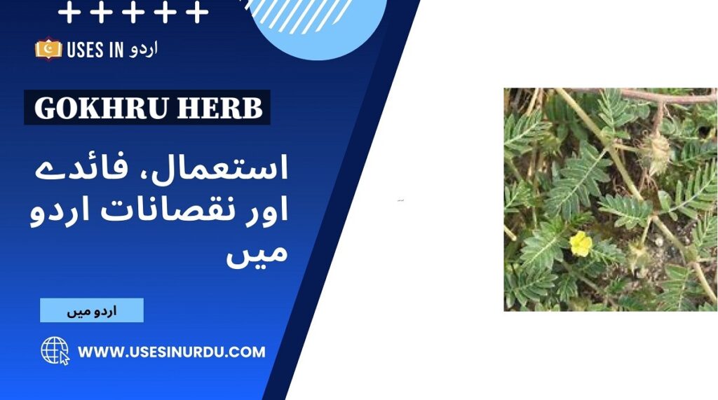 Gokhru Herb