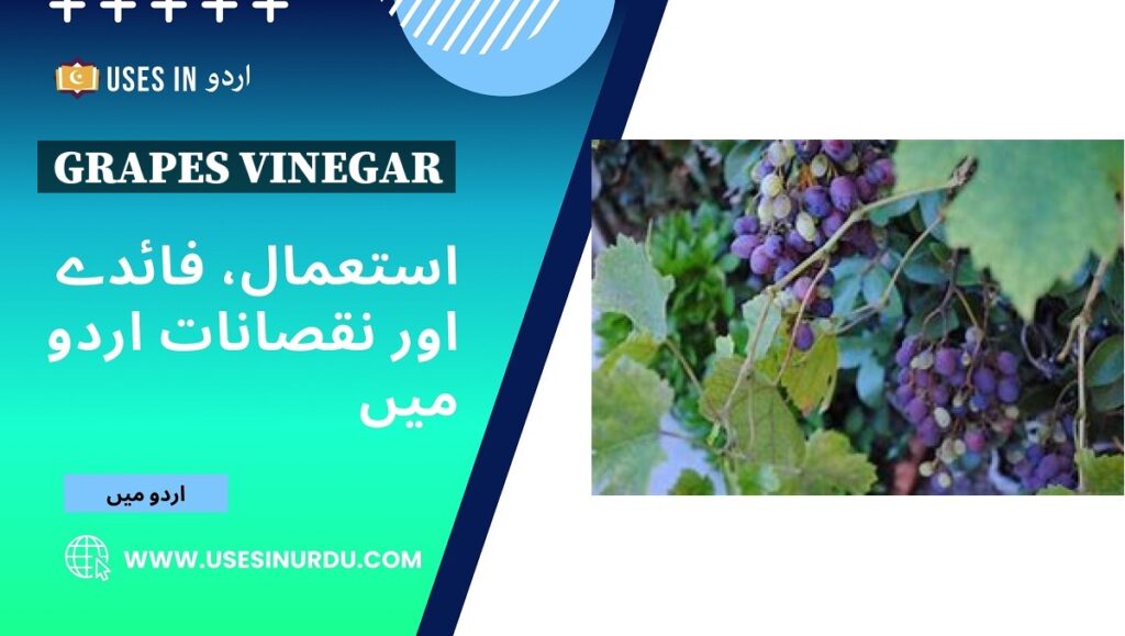 Grapes Vinegar