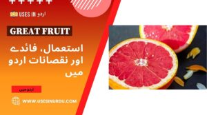 Great Fruit