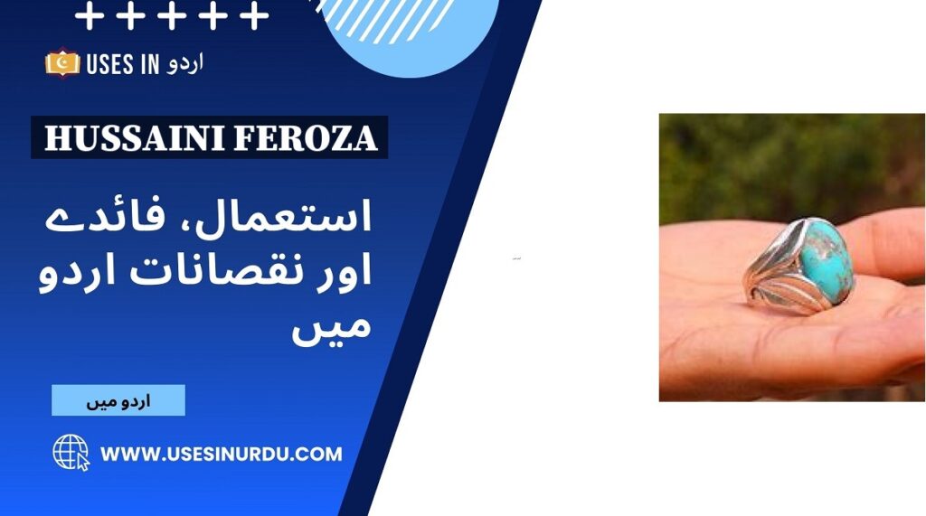 Hussaini Feroza