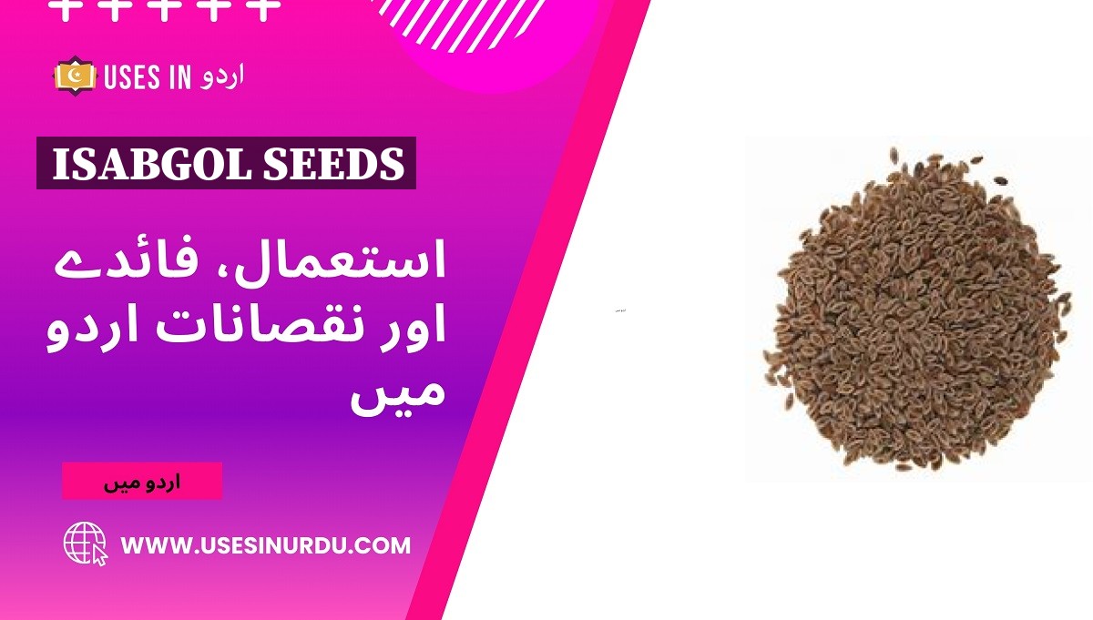 Isabgol Seeds