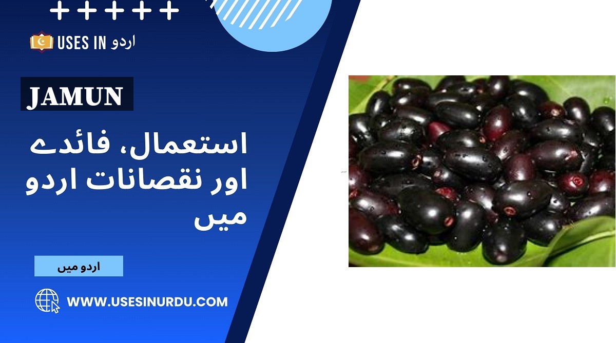 Jamun