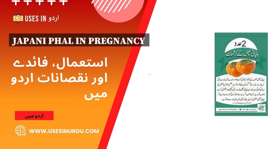 Japani Phal in Pregnancy