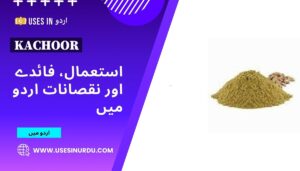Kachoor