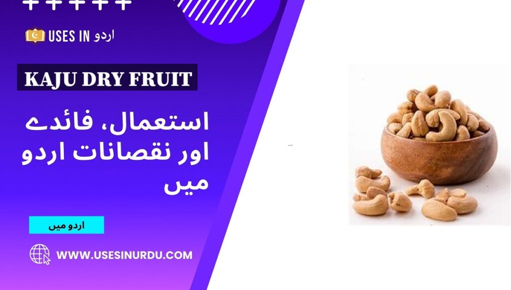 Kaju Dry Fruit