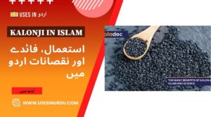 Kalonji in Islam