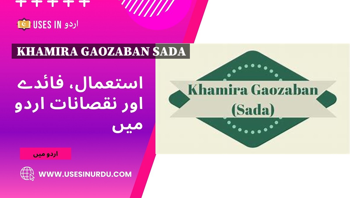 Khamira Gaozaban Sada