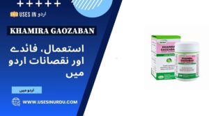 Khamira Gaozaban