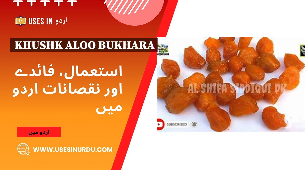 Khushk Aloo Bukhara