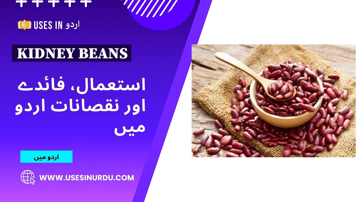 Kidney Beans