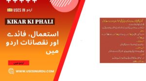 Kikar Ki Phali