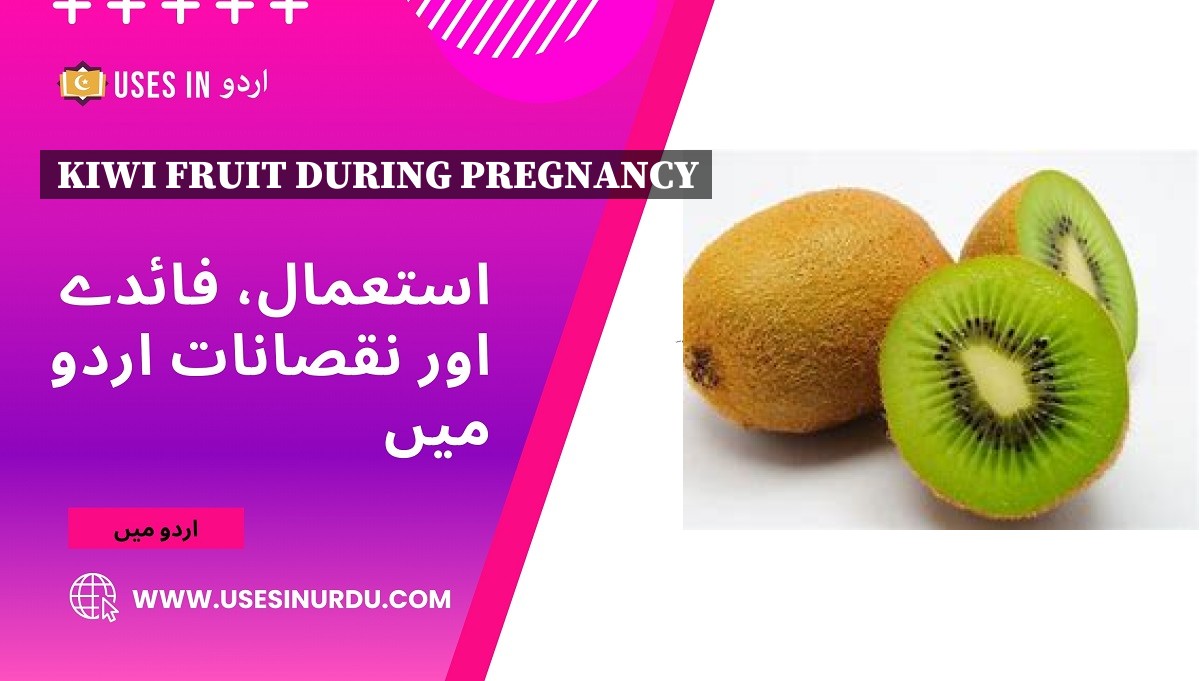 Kiwi Fruit During Pregnancy