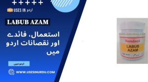 Labub Azam