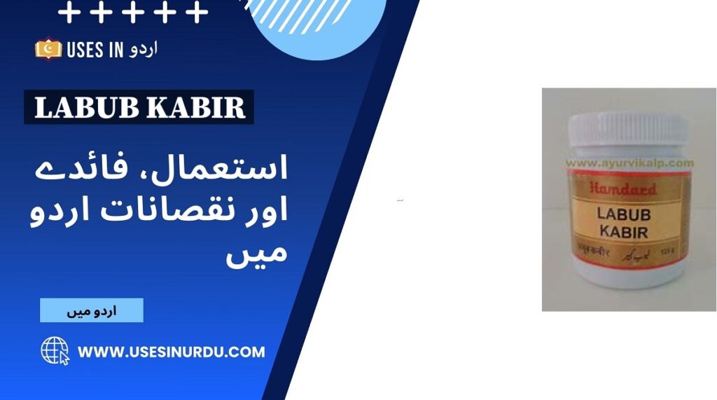 Labub Kabir