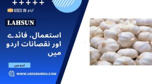 Lahsun