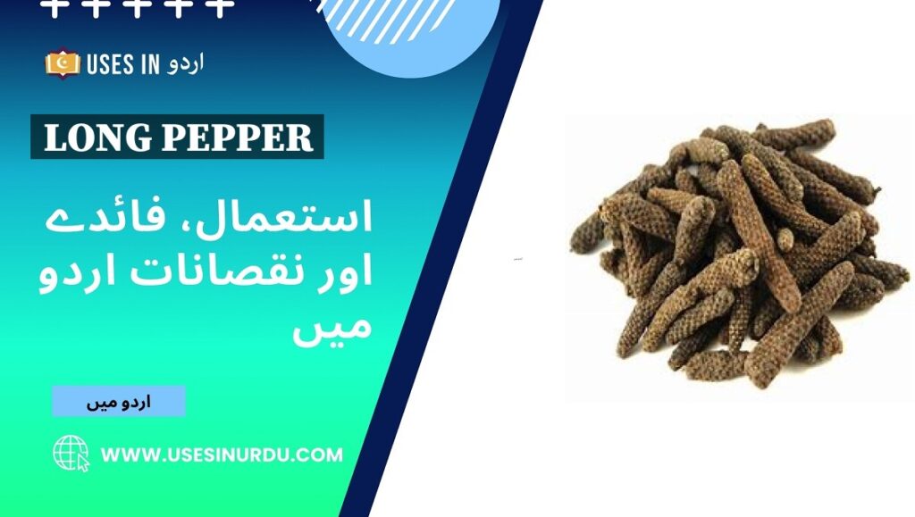 Long Pepper