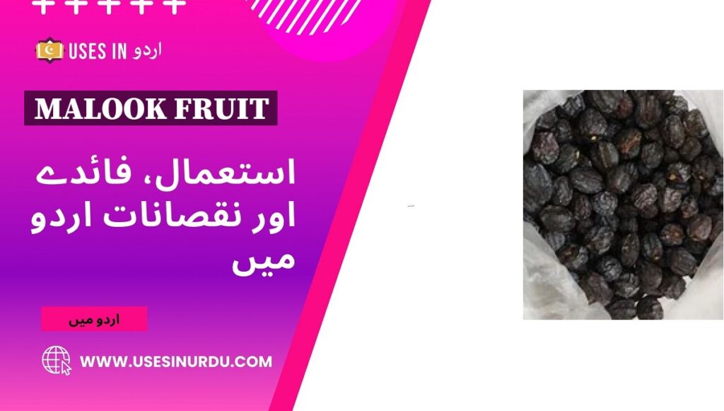 Malook Fruit