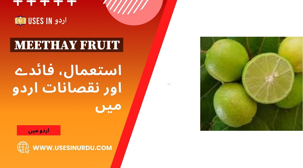 Meethay Fruit