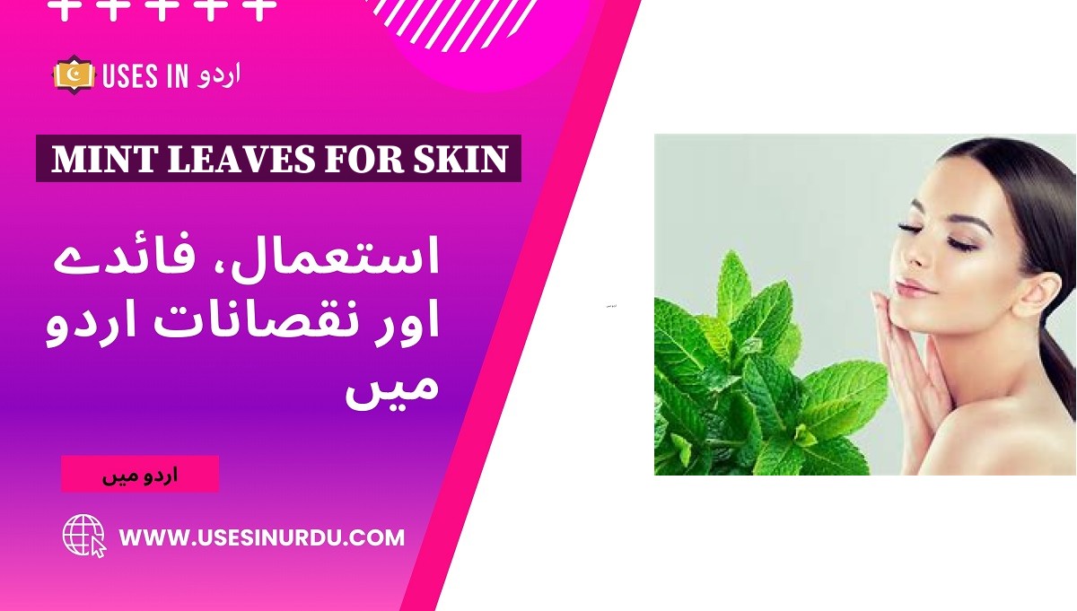 Mint Leaves for Skin