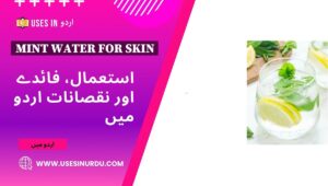 Mint Water for Skin