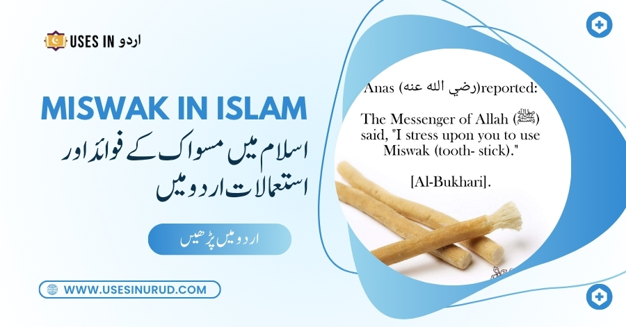 Miswak in Islam Uses and Benefits in Urdu