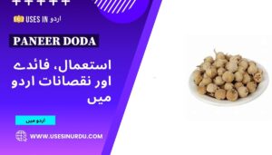 Paneer Doda
