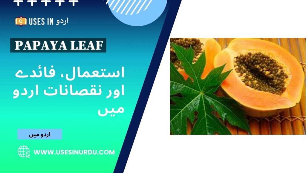 Papaya Leaf