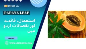 Papaya Leaf