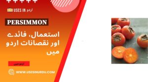 Persimmon